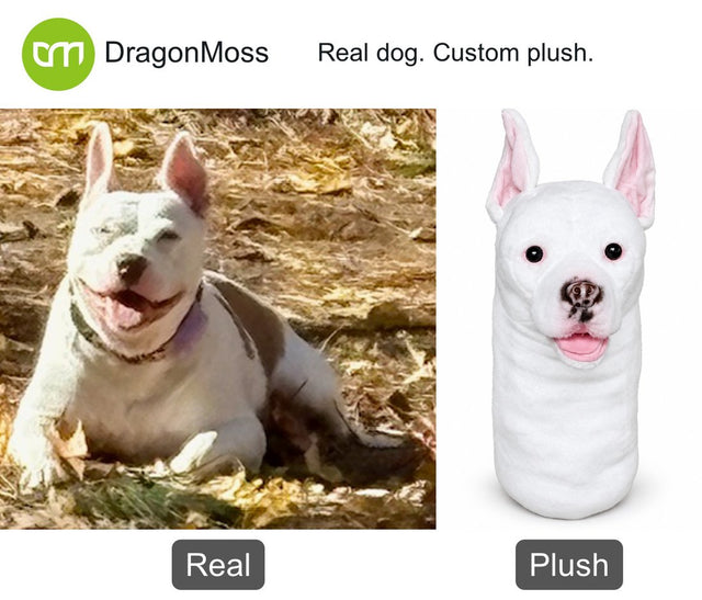 Dog photo beside a custom PawCaddie golf headcover, comparison 12