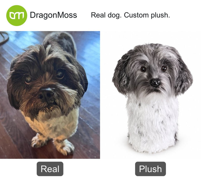 Dog photo beside a custom PawCaddie golf headcover, comparison 13