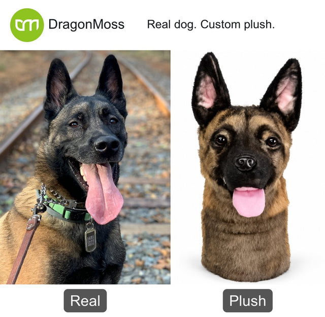 Dog photo beside a custom PawCaddie golf headcover, comparison 46