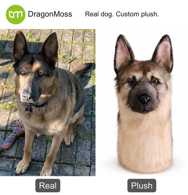 Dog photo beside a custom PawCaddie golf headcover, comparison 05