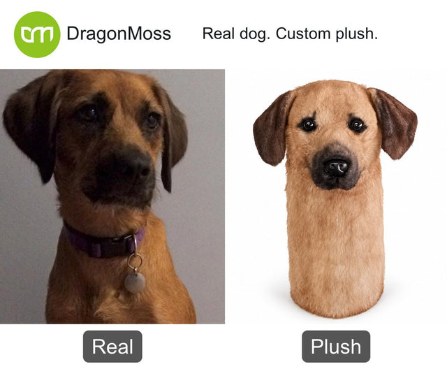 Dog photo beside a custom PawCaddie golf headcover, comparison 19