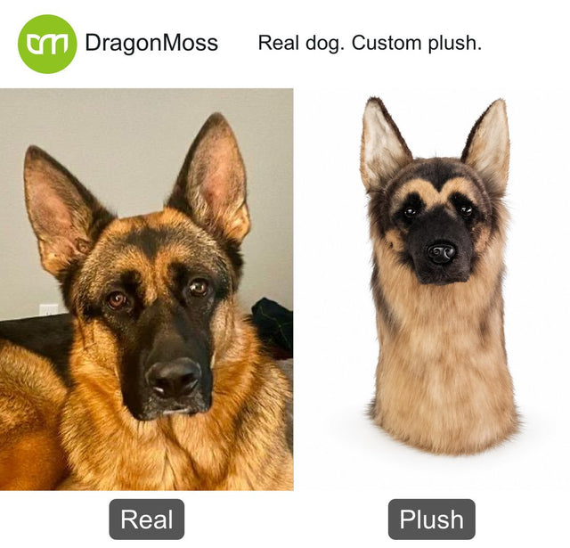 Dog photo beside a custom PawCaddie golf headcover, comparison 41