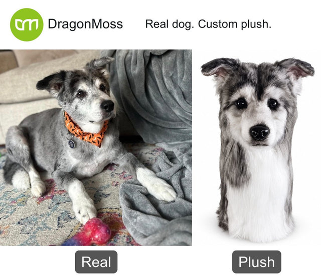 Dog photo beside a custom PawCaddie golf headcover, comparison 22
