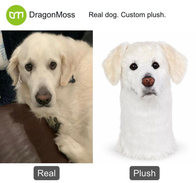 Dog photo beside a custom PawCaddie golf headcover, comparison 25