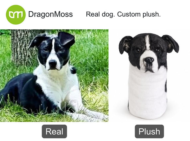 Dog photo beside a custom PawCaddie golf headcover, comparison 30