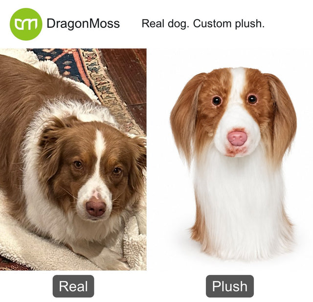 Dog photo beside a custom PawCaddie golf headcover, comparison 31
