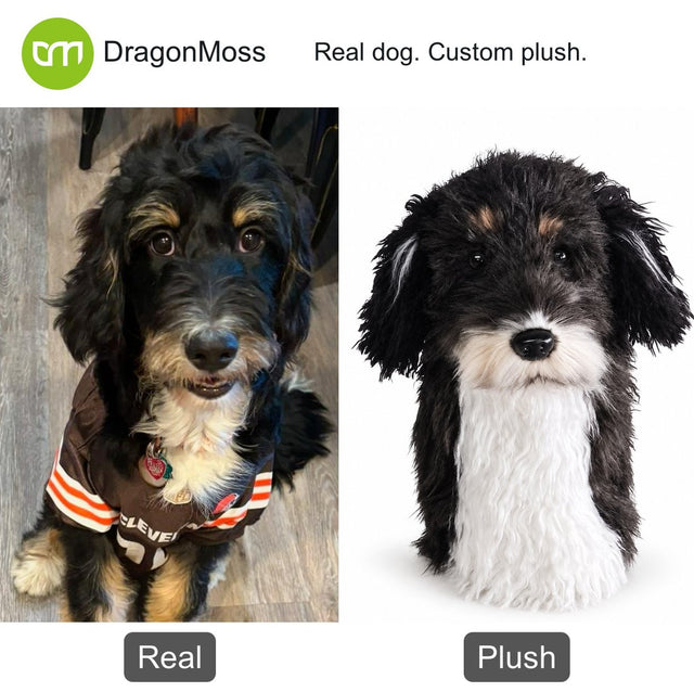 Dog photo beside a custom PawCaddie golf headcover, comparison 32