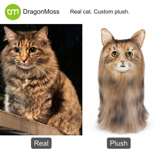 Cat photo beside a custom PawCaddie golf headcover, comparison 09