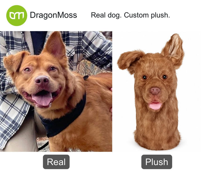 Dog photo beside a custom PawCaddie golf headcover, comparison 34