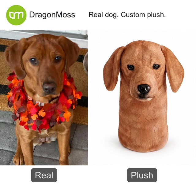 Dog photo beside a custom PawCaddie golf headcover, comparison 39