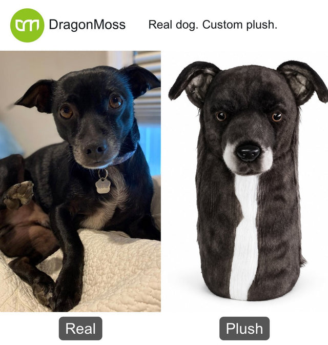 Dog photo beside a custom PawCaddie golf headcover, comparison 26