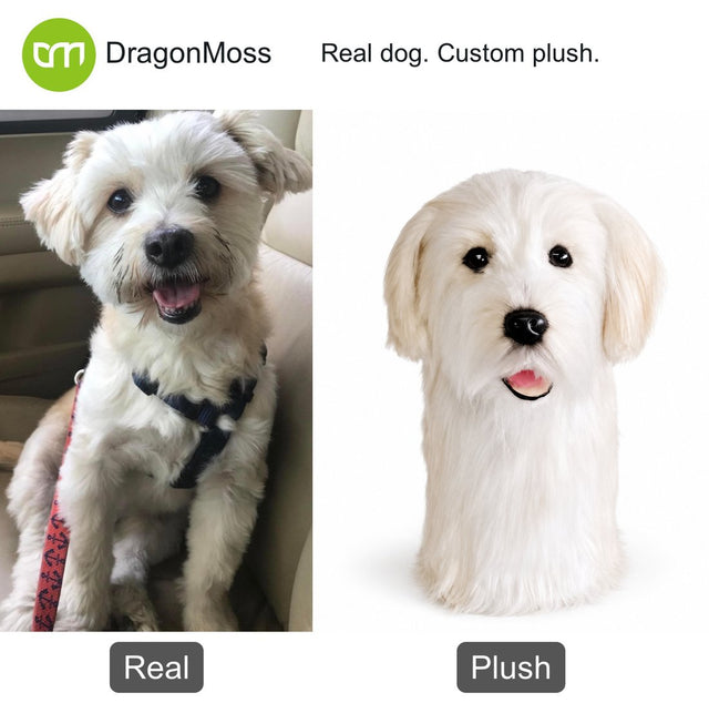 Dog photo beside a custom PawCaddie golf headcover, comparison 27
