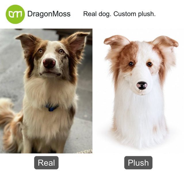 Dog photo beside a custom PawCaddie golf headcover, comparison 02