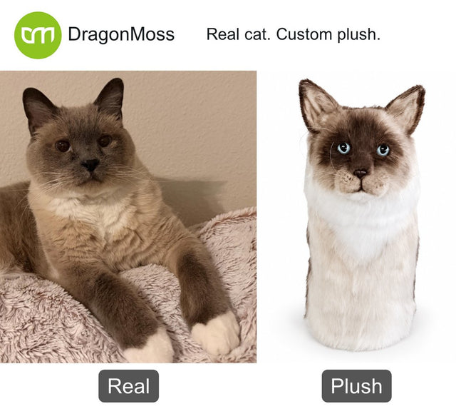 Cat photo beside a custom PawCaddie golf headcover, comparison 03