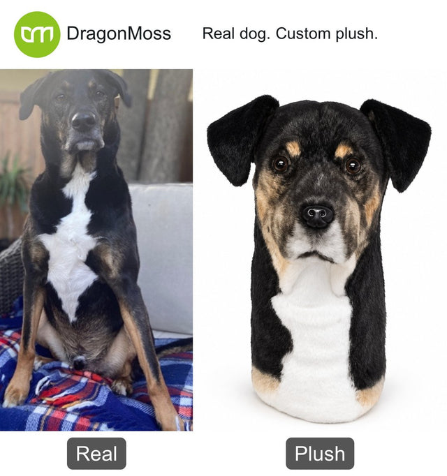 Dog photo beside a custom PawCaddie golf headcover, comparison 33