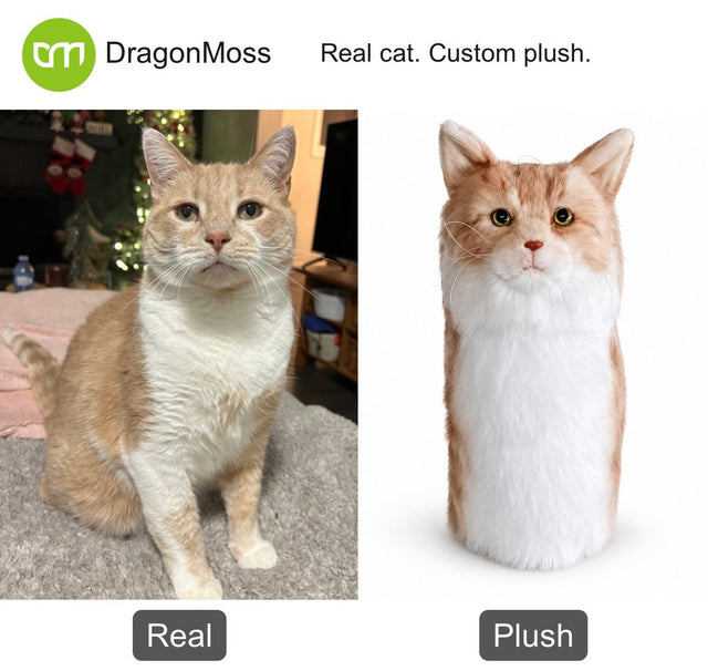 Cat photo beside a custom PawCaddie golf headcover, comparison 06