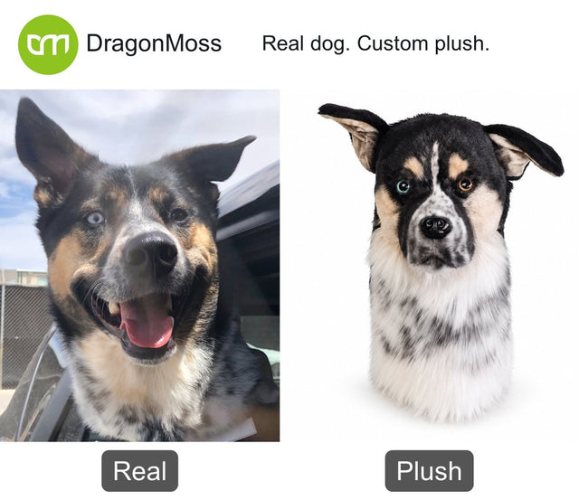 Dog photo beside a custom PawCaddie golf headcover, comparison 38
