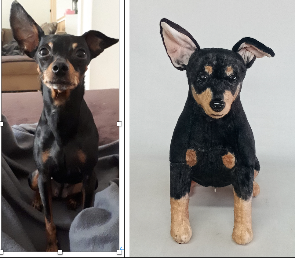 Pet photo beside finished black dog custom plush