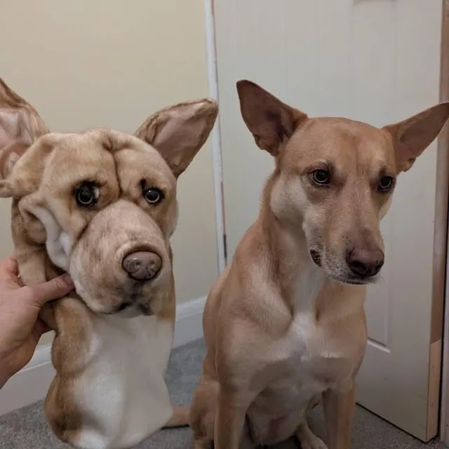 A handmade tan dog plush beside the original pet