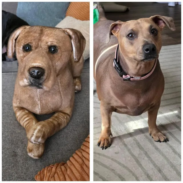Brown dog plush beside the original pet