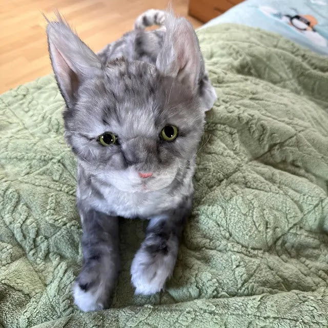 Customer photo of a handmade gray cat plush