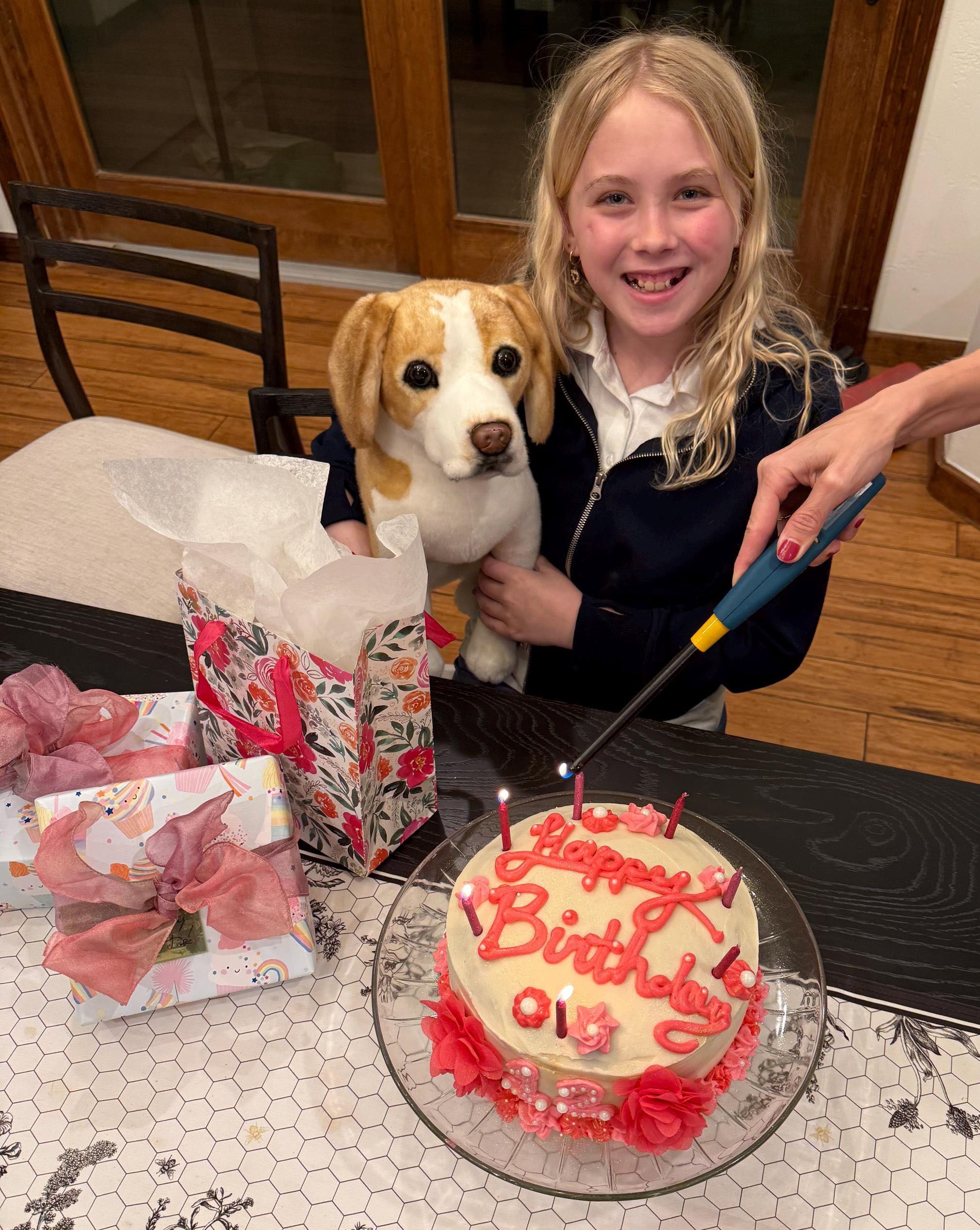 Custom beagle plush made from a customer's dog photo