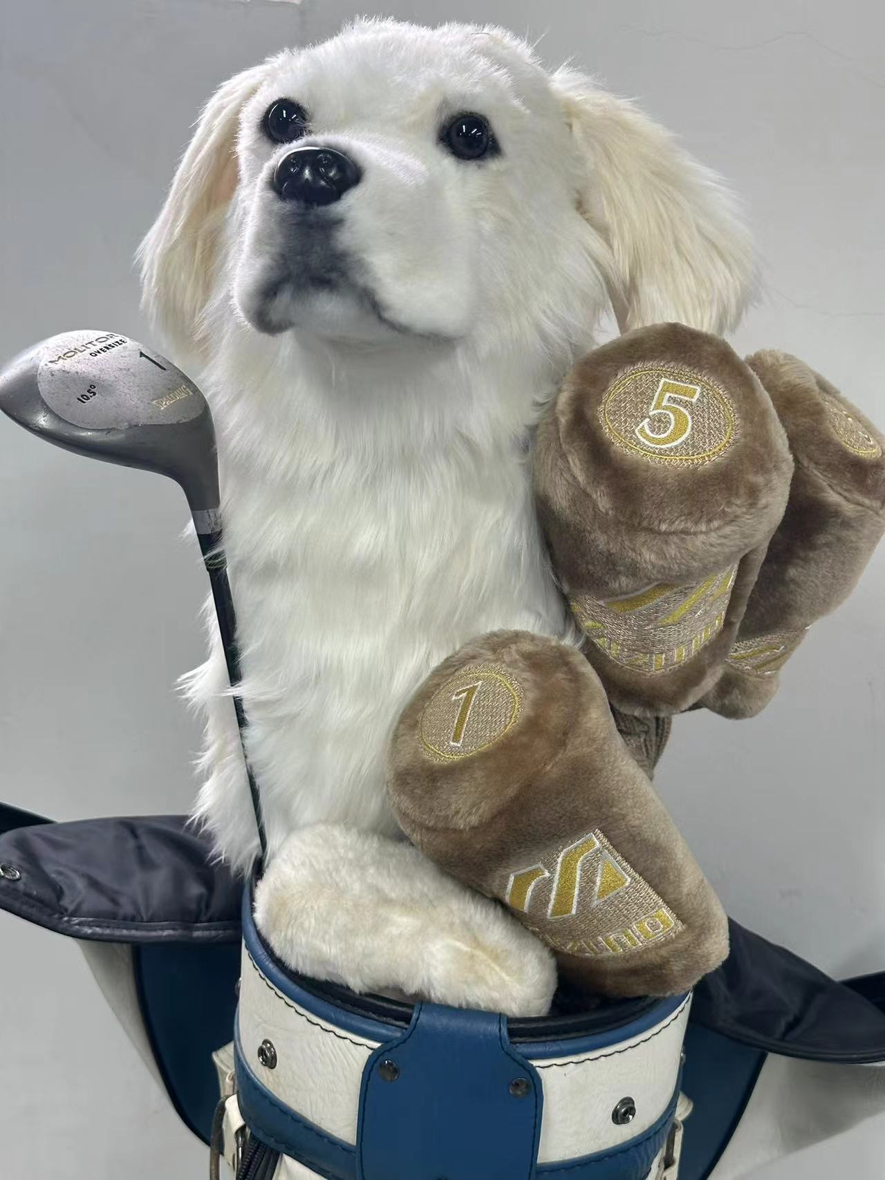 Custom pet golf headcover facing the real dog