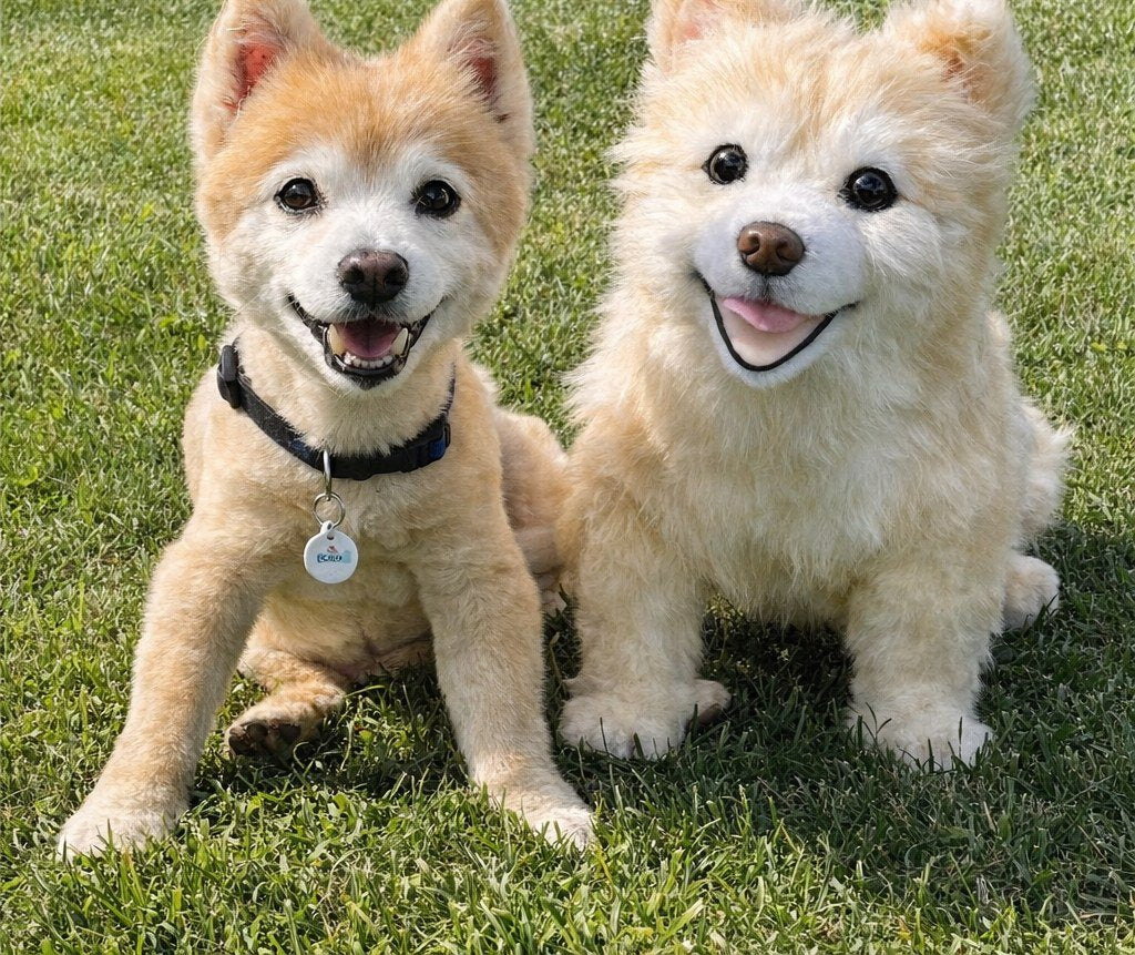 A real dog beside its lifelike custom plush replica