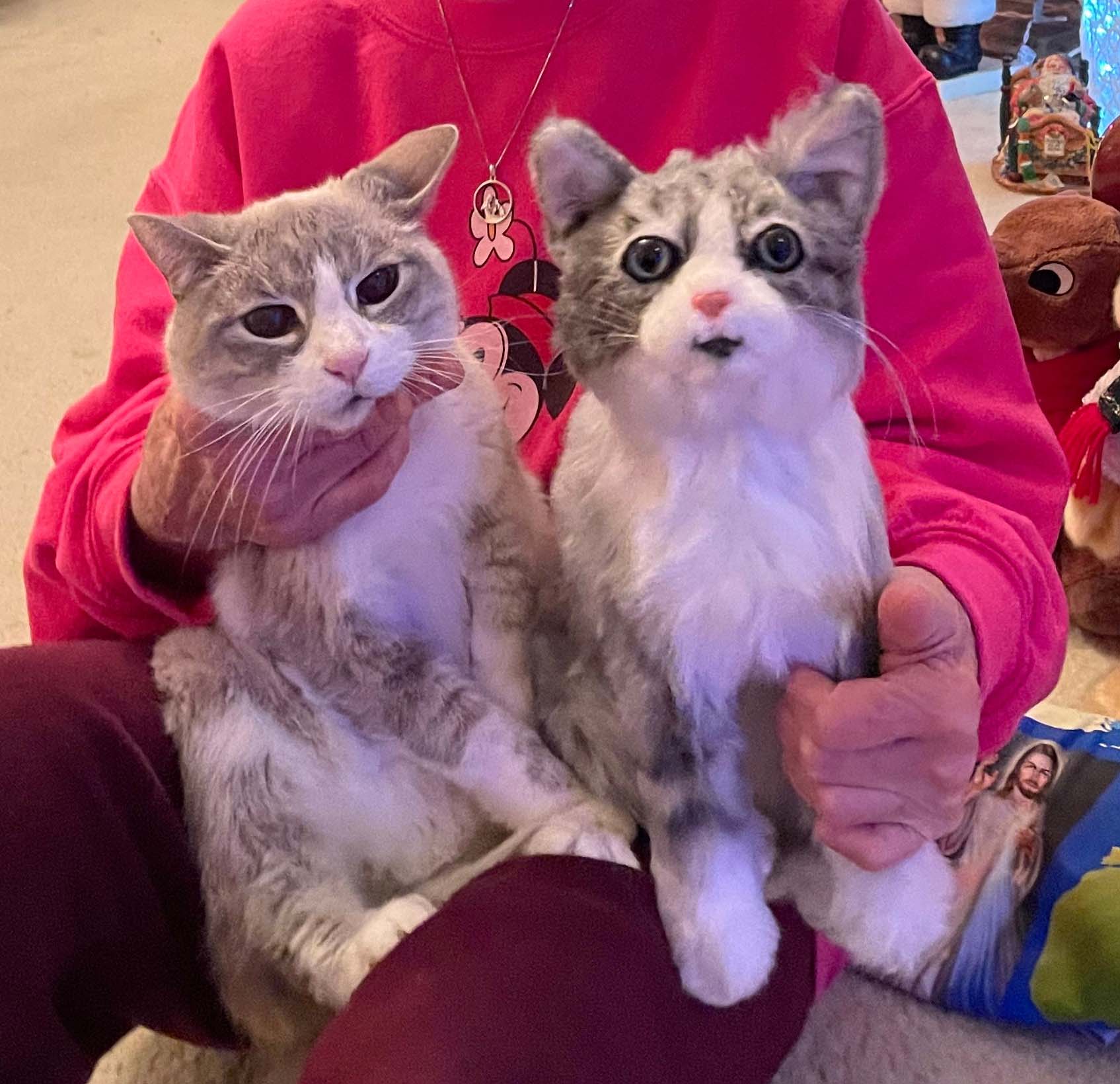 Custom cat plush beside the real cat
