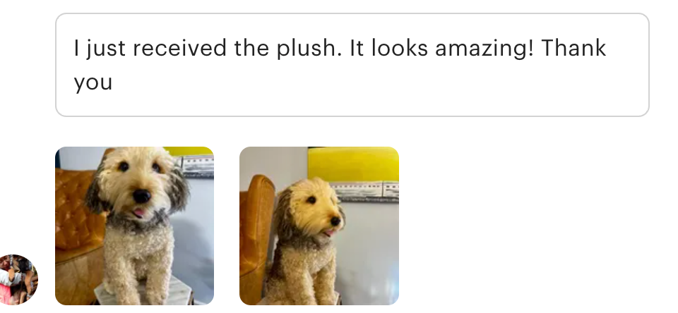 Customer message saying the custom plush looks amazing