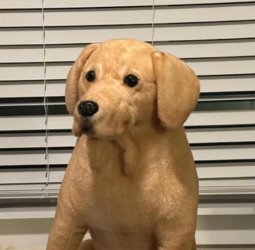 Five-star Etsy review for a ready-to-ship Yellow Labrador Retriever Companion Collection plush