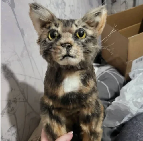 Five-star Etsy review for a ready-to-ship Companion Collection cat plush