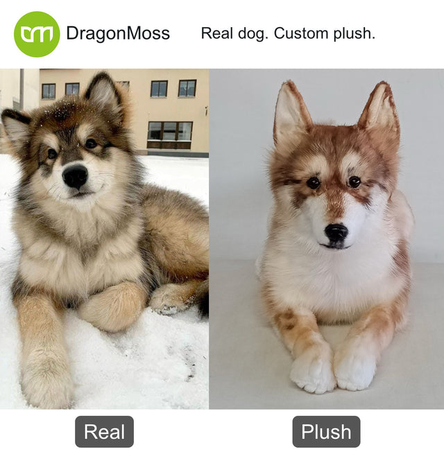 Dog photo beside a full-body custom plush, comparison 001