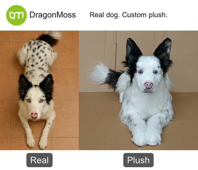 Dog photo beside a full-body custom plush, comparison 002