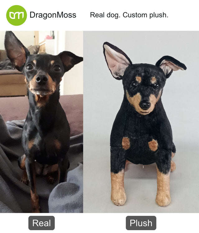 Dog photo beside a full-body custom plush, comparison 006