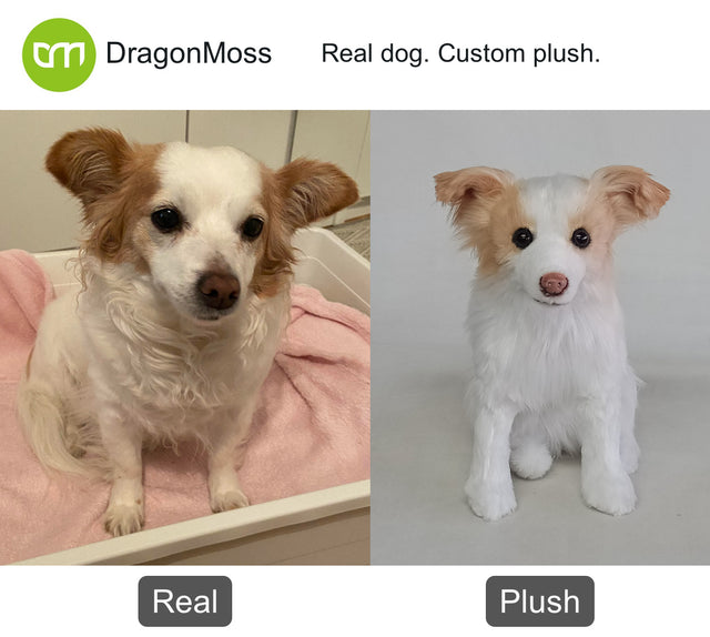 Dog photo beside a full-body custom plush, comparison 007