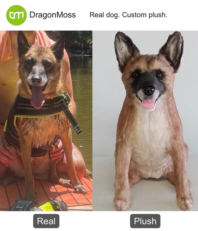 Dog photo beside a full-body custom plush, comparison 010