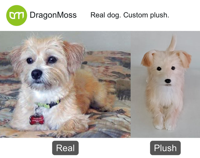 Dog photo beside a full-body custom plush, comparison 011
