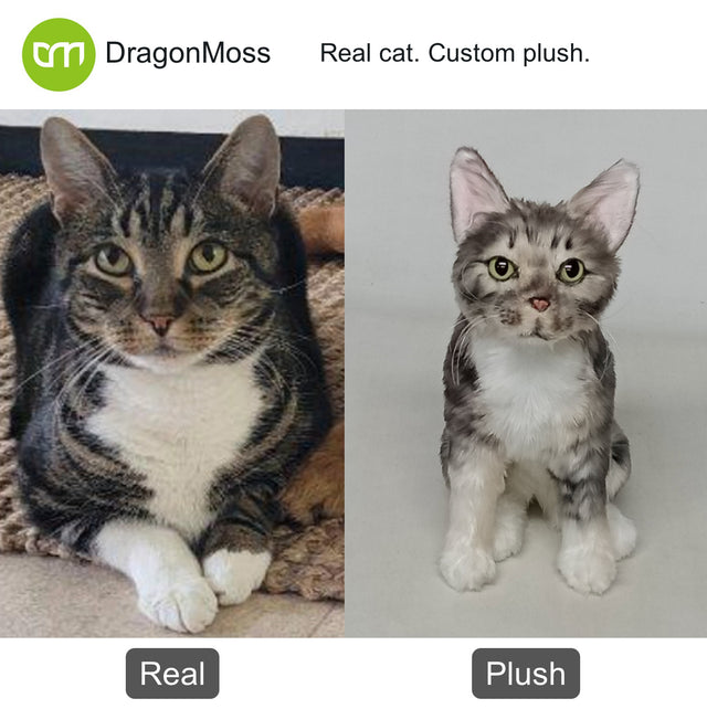 Cat photo beside a full-body custom plush, comparison 012