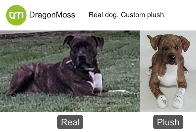 Dog photo beside a full-body custom plush, comparison 014