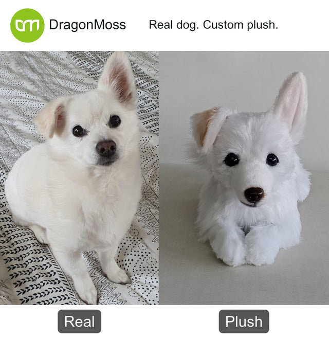 Dog photo beside a full-body custom plush, comparison 015