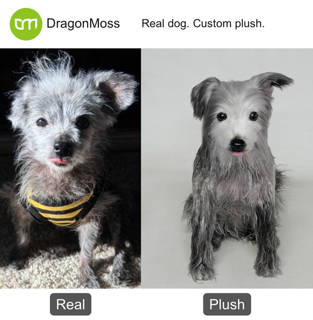 Dog photo beside a full-body custom plush, comparison 016