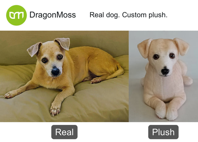 Dog photo beside a full-body custom plush, comparison 017