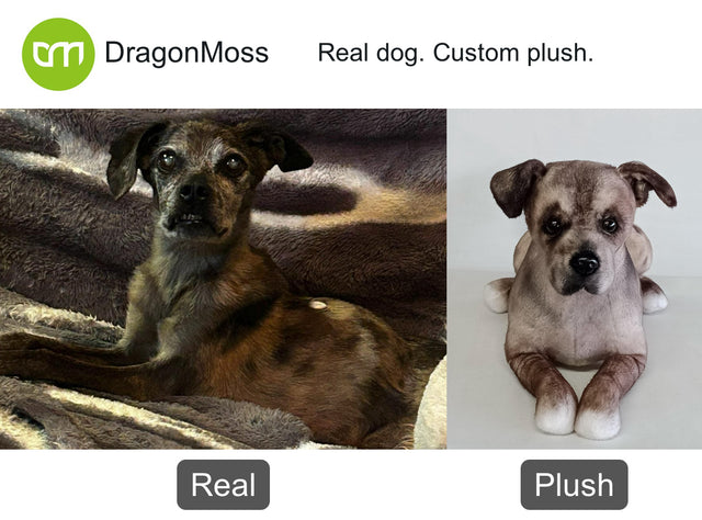 Dog photo beside a full-body custom plush, comparison 018