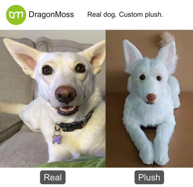 Dog photo beside a full-body custom plush, comparison 020