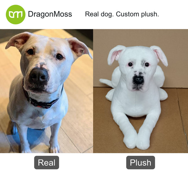 Dog photo beside a full-body custom plush, comparison 022