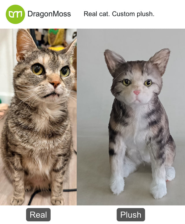 Cat photo beside a full-body custom plush, comparison 023