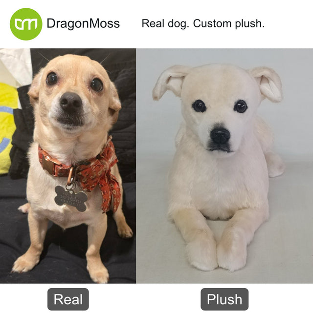 Dog photo beside a full-body custom plush, comparison 024