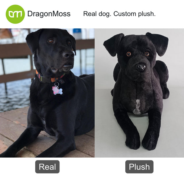 Dog photo beside a full-body custom plush, comparison 025