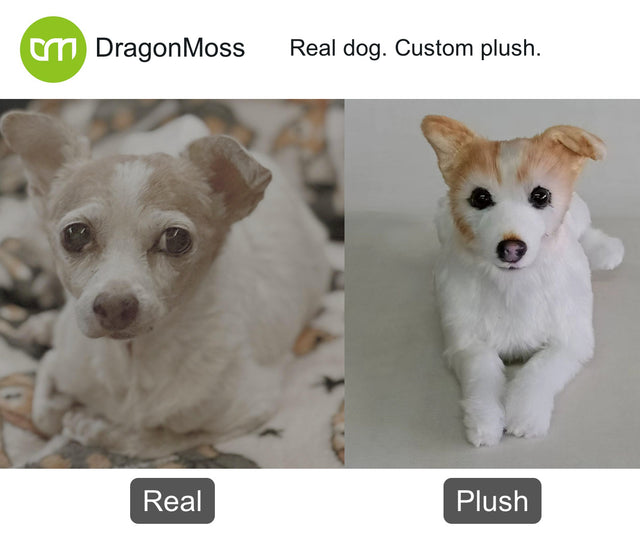 Dog photo beside a full-body custom plush, comparison 027